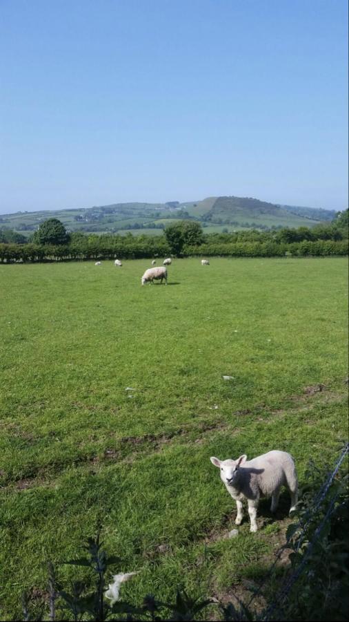 Killoughagh House Bed & Breakfast Cushendall Eksteriør bilde